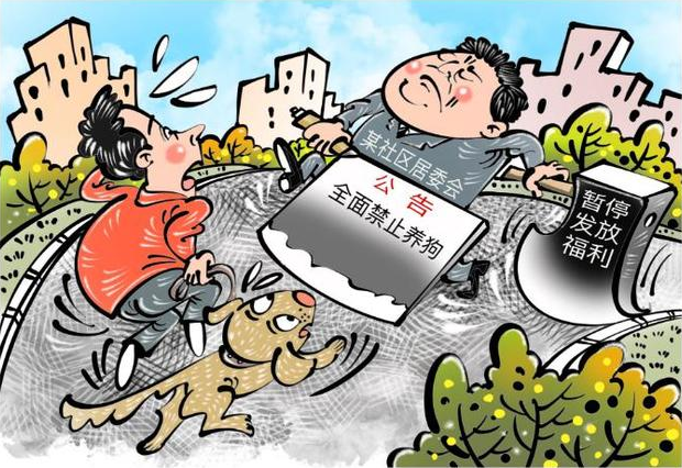 社区禁止养狗引质疑_漫·议|社区全面禁犬,为何不得人心?
