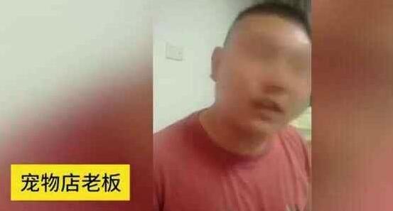 宠物店将恶犬栓门口,4岁男童被咬住不放,网友:老板真该死