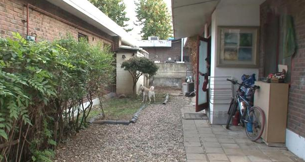 宠物犬性情大变，对主人都龇牙咧嘴