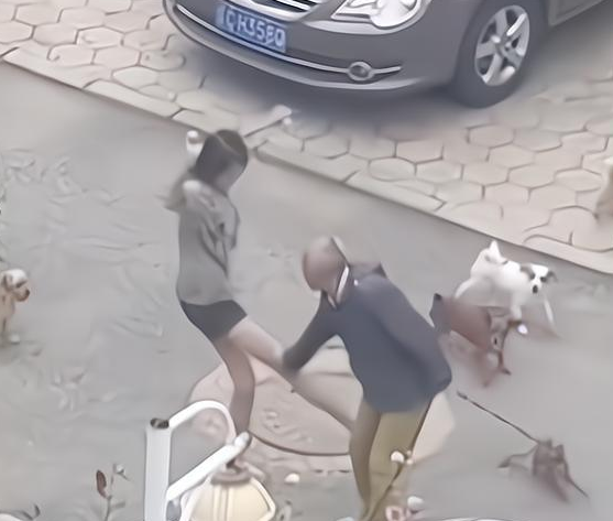 女子遛多只狗不栓绳，竟还脱下拖鞋，人狗一起围攻遛狗大爷