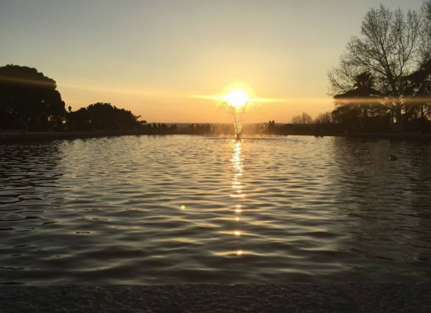 狗狗梳下来的毛不要扔，用来织成这样一双毛靴子，谁看了都羡慕