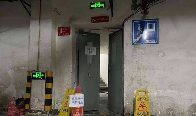 西安一宠物狗踩入积水倒地后死亡 主人准备挪开时双手发麻疑似触电