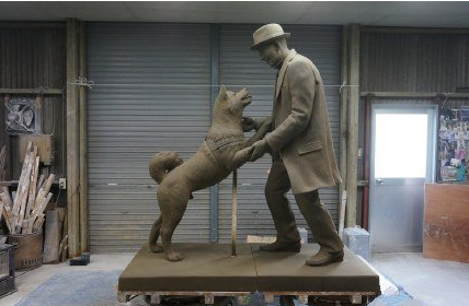 国内的“忠犬八公” 被狗狗的执着所感动