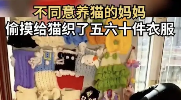 男子花2000元为宠物狗定制貂皮衣服,网友:人不如狗