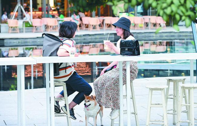 狗狗疯跑挺吓人 该谁管理“踢皮球”