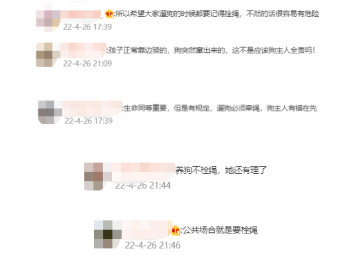 遛狗不拴绳致骑车男孩摔骨折,狗主人的反应让网友不淡定了