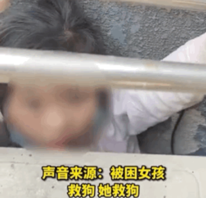 小女孩钻防护架救狗被困,哭着请求消防员:“叔叔,能不能先救狗狗?”