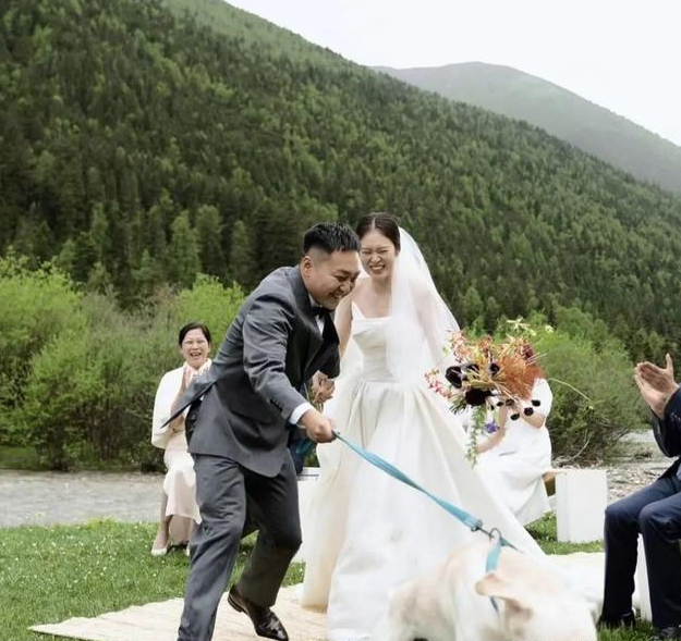 “狗在婚礼上抢走了我老公”,网友婚礼现场发生意外,笑翻了