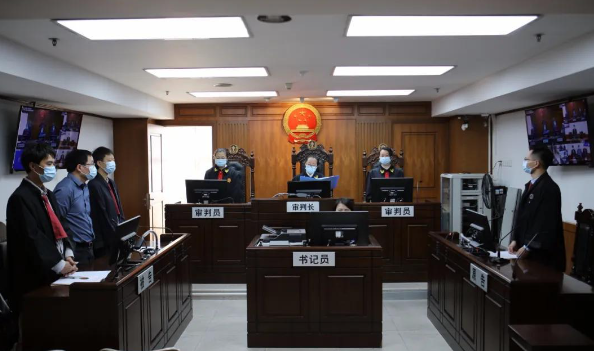 天上掉下来一只狗,被砸中的女子成一级伤残,法院判赔117万