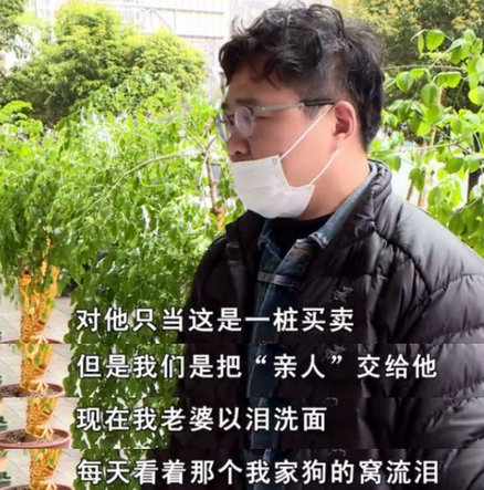 爱犬死在宠物医院!当事人:为何死在烘干机内?