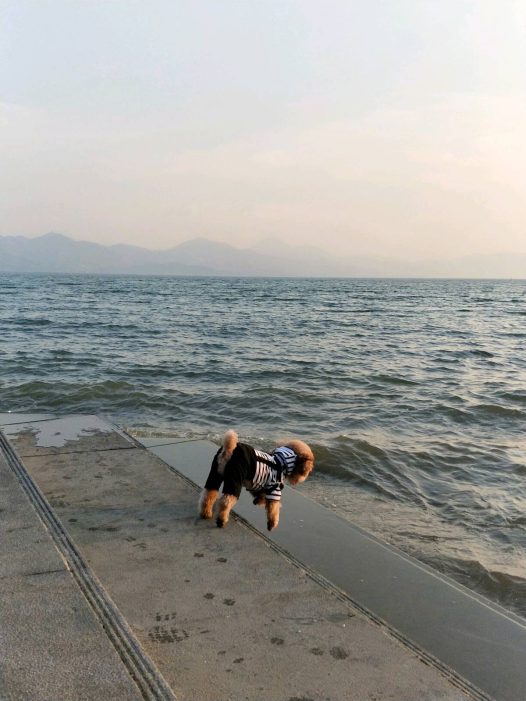 背影也能看出宝贝的心情好好[嘻嘻]家人陪伴的旅行才能这般任性[亲亲]