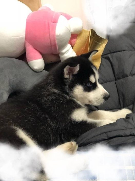 吃药了乖乖睡觉，各种睡姿，感冒快快好起来。麻麻抱抱。