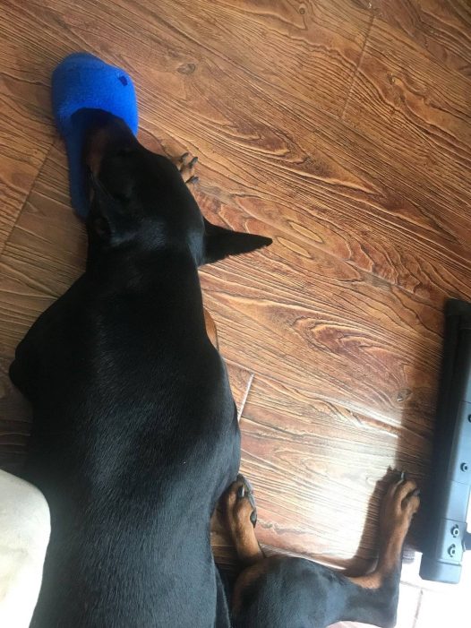 是有多爱我？！么么 我也爱你