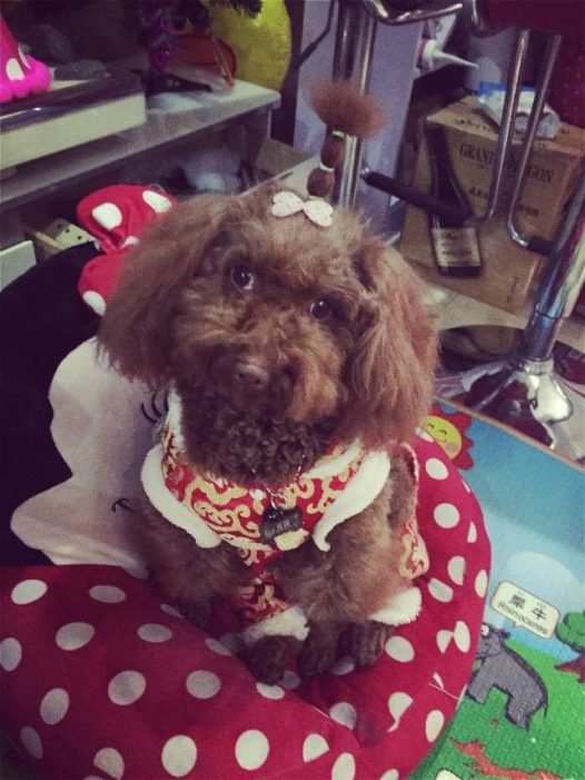 我家的天线宝宝小姨说要把这跟天线给剪了怎么可以呢？麻麻给宝宝留了两年的毛毛才留这么点呢，舍不得的呀。