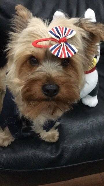 阳春三月！美好时节！真想跟粑粑麻麻哥哥弟弟们一起春游踏青去，每天看到他们欢乐气氛好生羡慕