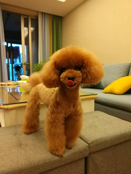 小舌头,卷起来。