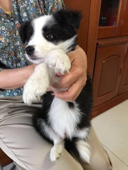 小天使的样子，单纯无辜的眼神心都要化掉了～