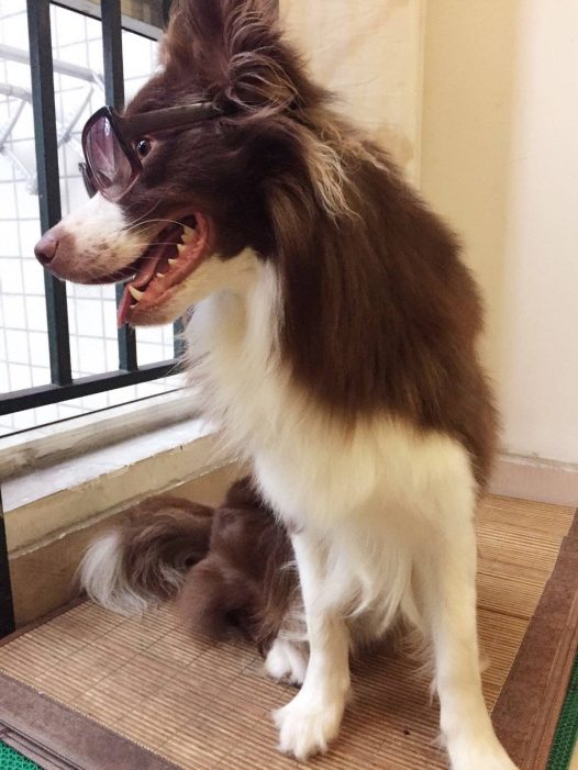 走,跟着大哥混有饭吃