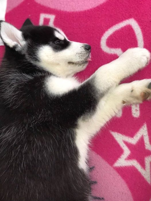 第三天啦,出太阳了但是不能出去玩,快好起来。