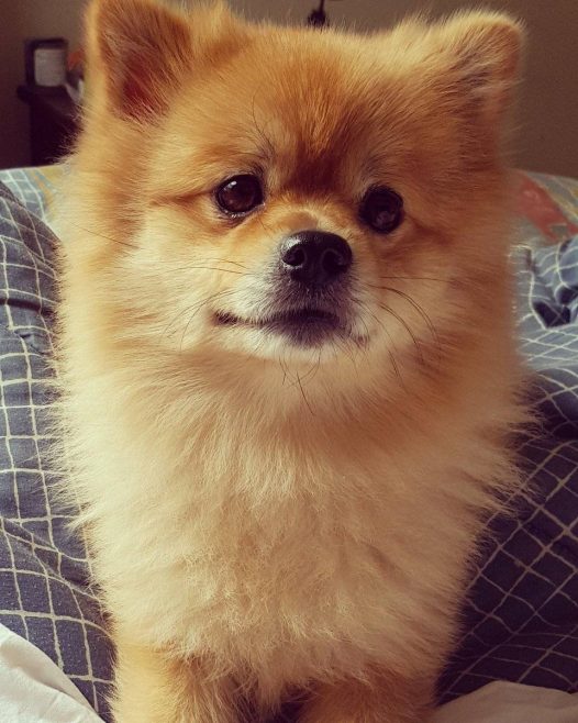 和它对视的那一刻,我心以化