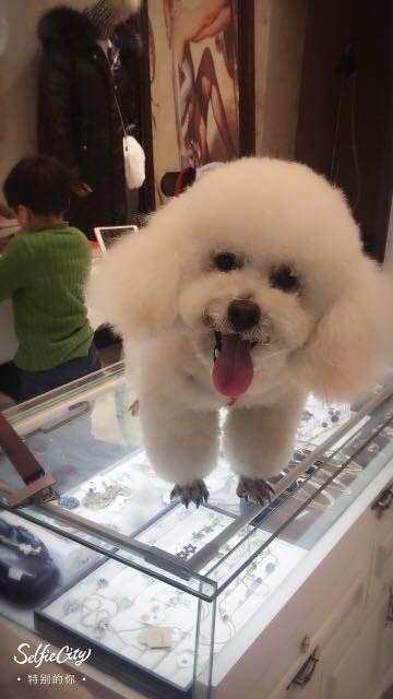 洗了个免费的澡,做了个免费的美容
