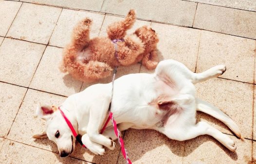 你们的东西都下雪，我们的冬天没有雪只能对着太阳耍流氓啦