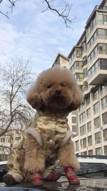 今天的风，怡人，今天的阳光，暖人～今天是惊蛰，春回大地，万物萌动。春回大地！是爱，是暖，是希望