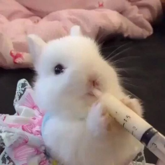 你萌到我了