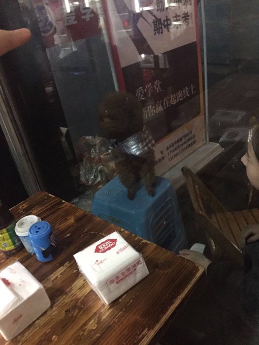 你妈好不容易出来撸个串，你还不安分乱跑。我还治不了你咯！