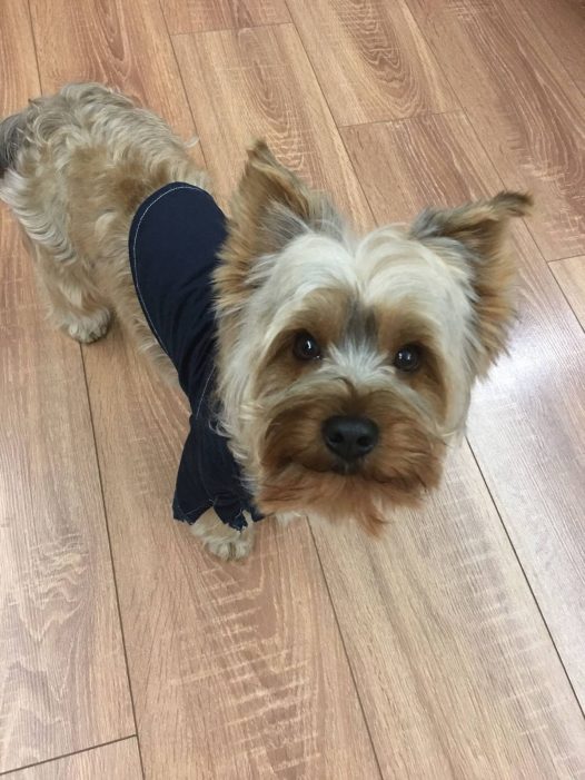 好久没有运动了，出来跑一会就累的跟狗似的一身膘肉怎么能掉呢