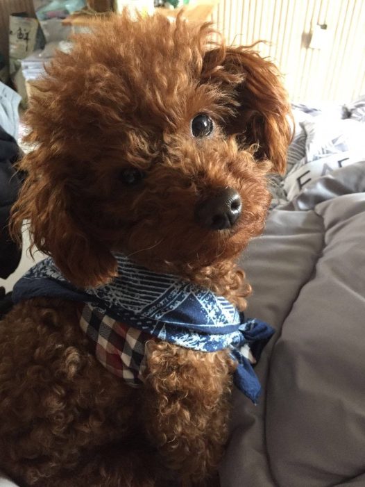 太阳都从外面照进来了，后两张是他回头看我打喷嚏的样子