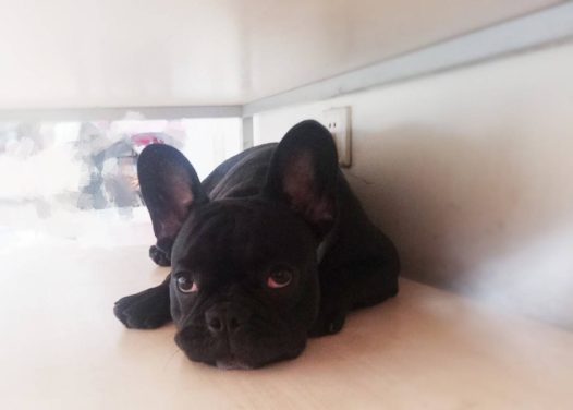 禅系男孩儿_《一切皆空》