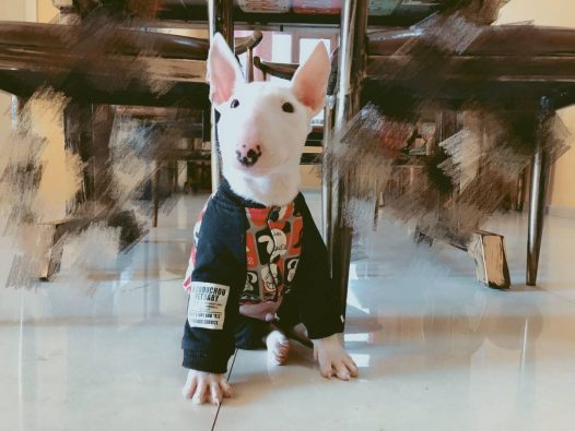 弟弟Butter穿我小时候的衣服