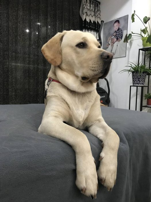 瞧瞧你脖子里的肉肉，还想不想减肥了？小心女朋友嫌弃你！