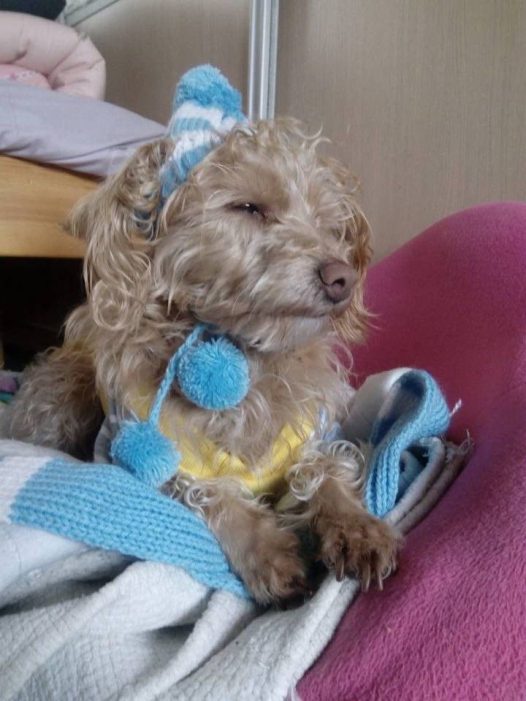 这么大的雪朕也是第一次见忧国忧民