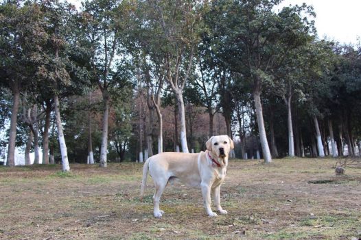 帅财，周一早！