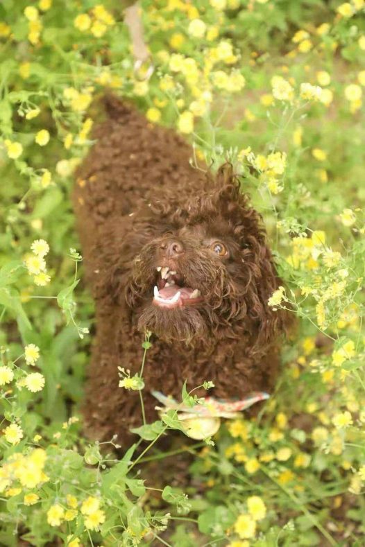 这样一看是应该给你做一次美容了哈哈
