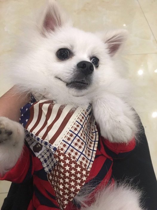 我不拍照,我不拍照
