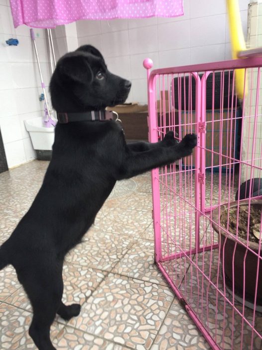 姐姐说我长得太快了,抱都抱不动了,但是他不知道我长大就是为了保护她