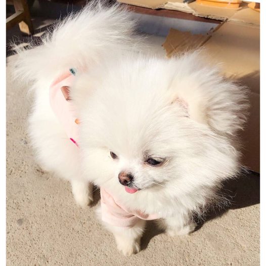 天气好，心情也好，洗完澡‍️感觉全世界都清净了