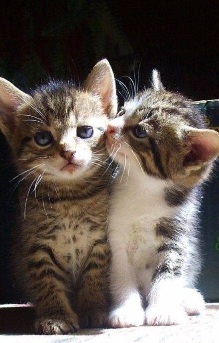 挨得紧紧的，你想做什么