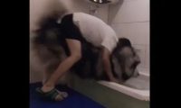 主人给大狗狗洗澡,一个脚滑让狗扑倒,糗大了!