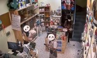 嫌店员给狗洗澡不够温柔,情侣拖拽踢打店员