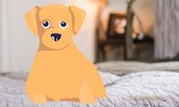 犬瘟热：病因、症状与治疗方法