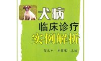 一例犬吸入性肺炎病例的解析与治疗，附 9 大护理要点