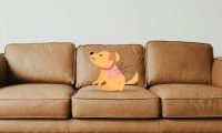 狗狗脓皮病(犬疥):病因、症状和治疗方法