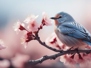 春天鸟语花香摄影图片