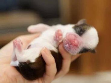 感觉好像还吃奶奶一样