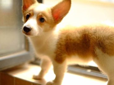 重温九月小时候