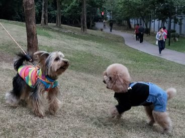 大哥乐乐今天来我们这儿了，都说大哥比我还帅呢,一看就知道大哥现在很幸福